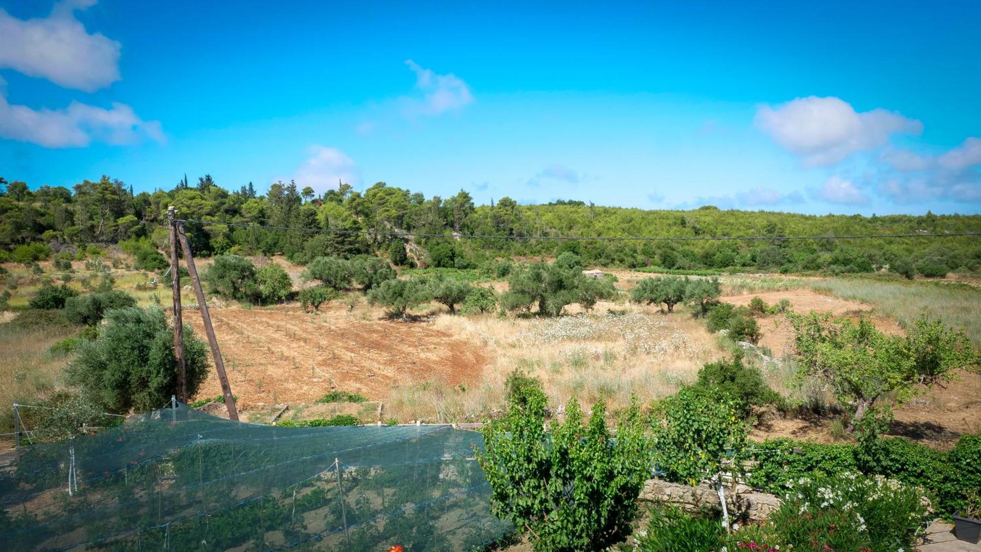 Fterini Apartments Sterna & Alletri Agios Leon Extérieur photo