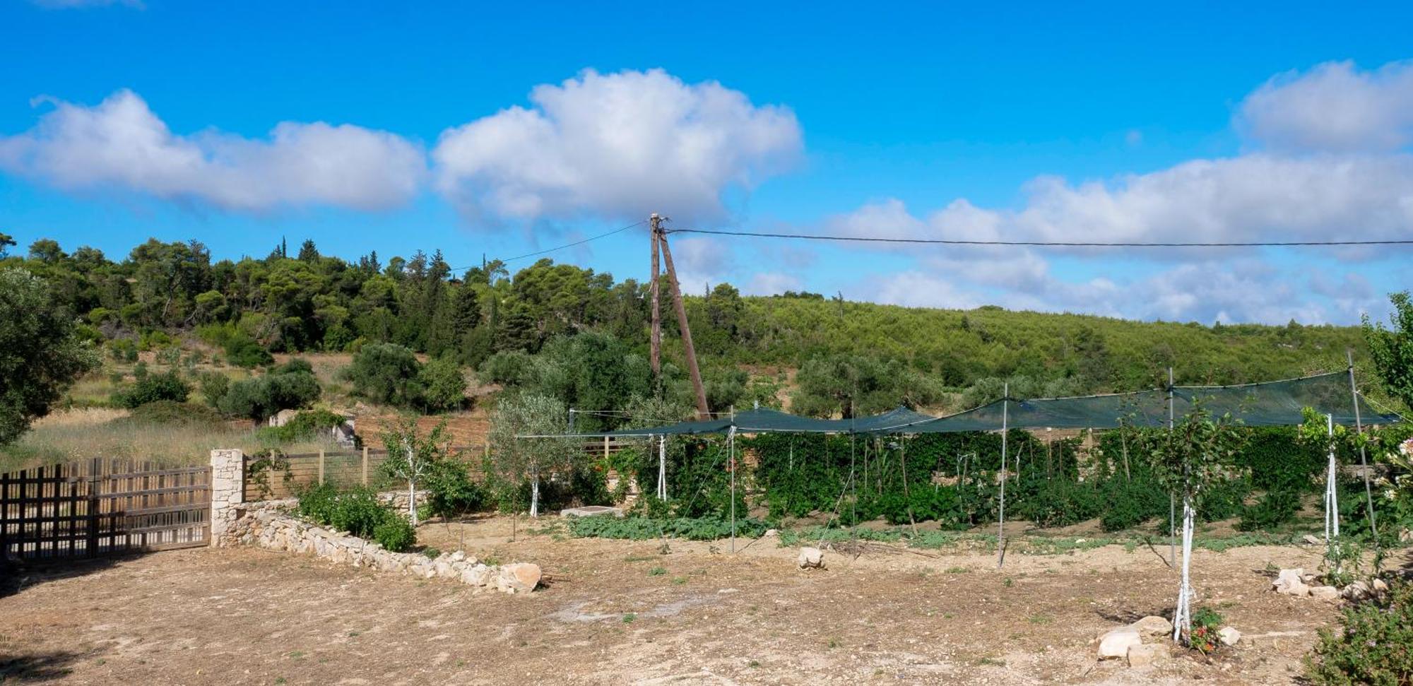 Fterini Apartments Sterna & Alletri Agios Leon Extérieur photo